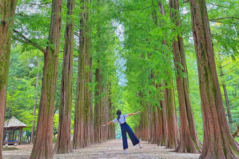 Seoul: Private Luxury Scenic Escape | Beyond Nami Island