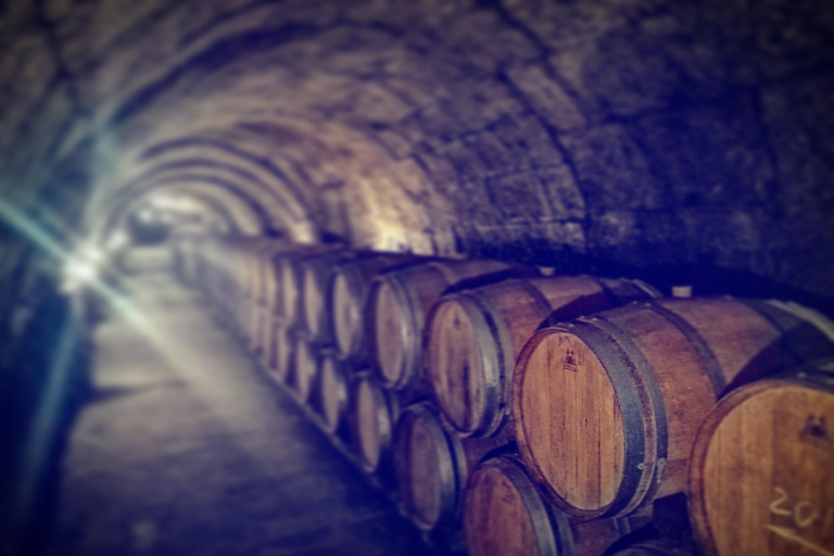 Ribera del Duero Sightseeing Tour: From Madrid to the Ribera del Duero - lunch included RIBERA DEL DUERO WITH FULL LUNCH INCLUDED