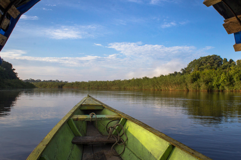 Experiencia completa en la selva