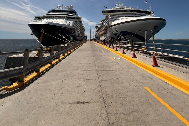 Cruise Passengers: Peninsula Valdés With Ticket Included Cruise Passengers: Shared Peninsula Valdés Tour
