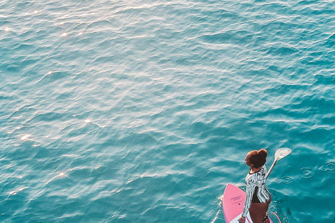 Jacksonville FL: Ortega River Paddle Board Excursion 2 Hour SUP Rental