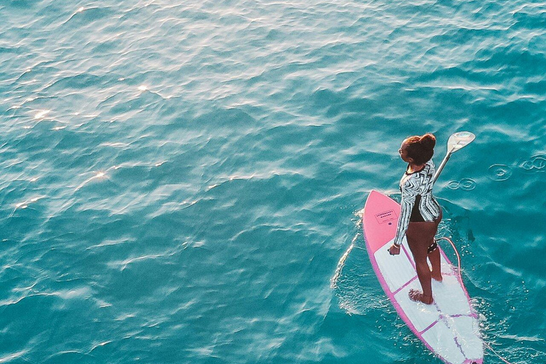 Jacksonville FL: Ortega River Paddle Board Excursion 2 Hour SUP Rental