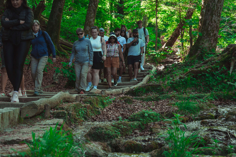 Zadar : Visite guidée des lacs de Plitvice avec billets