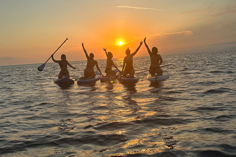 Marseille : stand-up paddle tour - découverte des calanquesExploration 2h