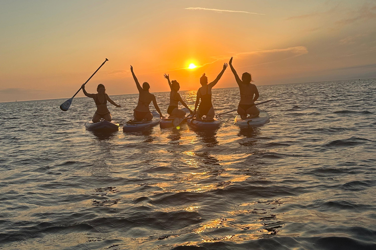 Marsiglia: tour in stand-up paddle - scopri le calanquesEsplorazione 2h