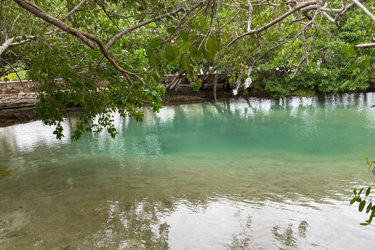 Natuurbelevenis Rio Lagartos en Las Coloradas.