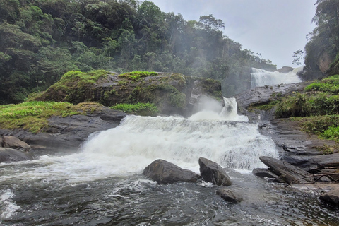 CAMINHO DO OURO - Guided tour Atlantic Forest, Waterfalls, Stories.