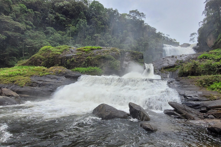 ATLANTIC FOREST TOUR WITH WATERFALLS - THE GOLD TRAIL