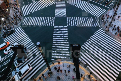 Tokyo: 2-Day Guided Tour with Kamakura & Hotel Pickup