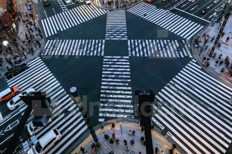 Tokyo: 2-Day Guided Tour with Kamakura & Hotel Pickup