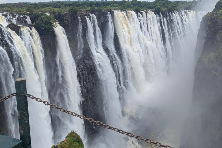 Victoria Falls Leisure Walk & Big Tree Experience
