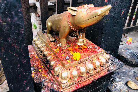 Passeio cultural: Estupa de Boudha e Pashupatinath com um guia