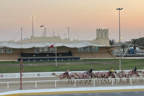 西海岸私人之旅：理查德·塞拉和沙漠奇观