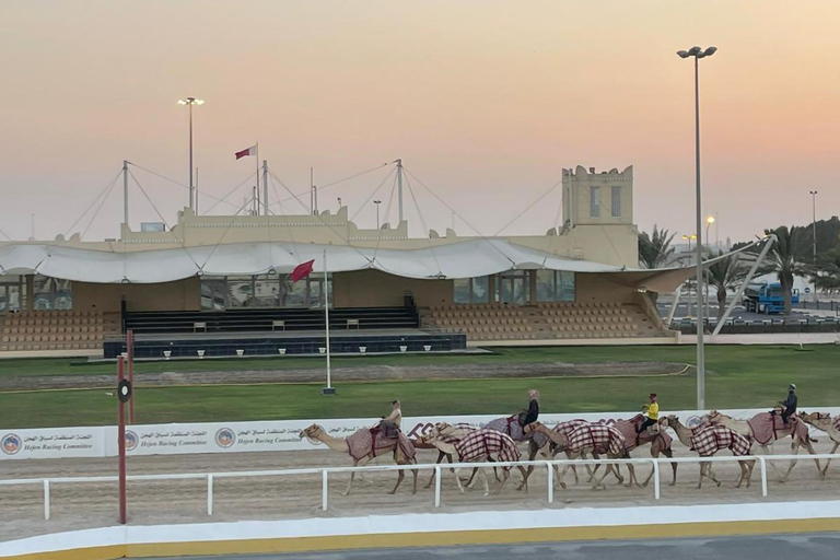 西海岸私人之旅：理查德·塞拉和沙漠奇观