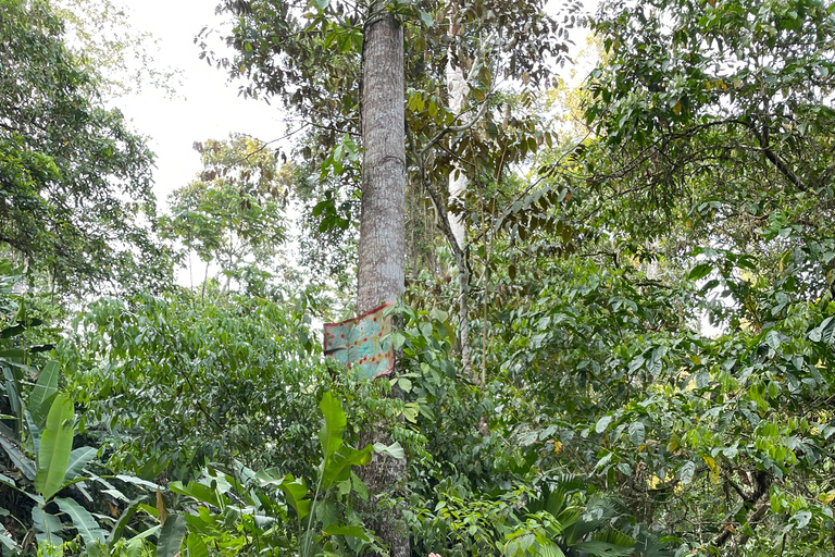 Puerto Viejo Talamanca: Quad Tour with 2 Waterfalls