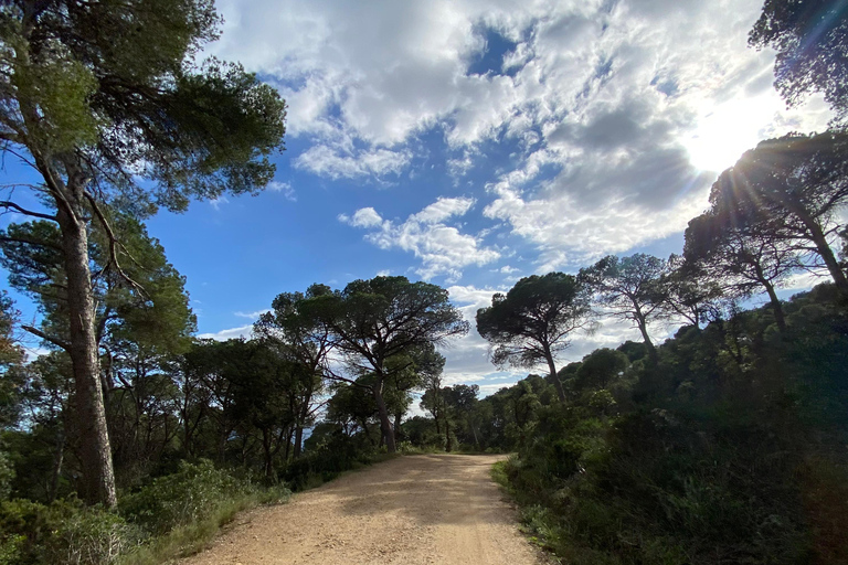Depuis Barcelone : Circuit de randonnée Costa Brava et Camino de RondaVisite partagée