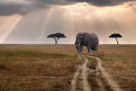 Safari de Lujo de 3 Días en Saltlick por el Parque Nacional de Tsavo Occidental