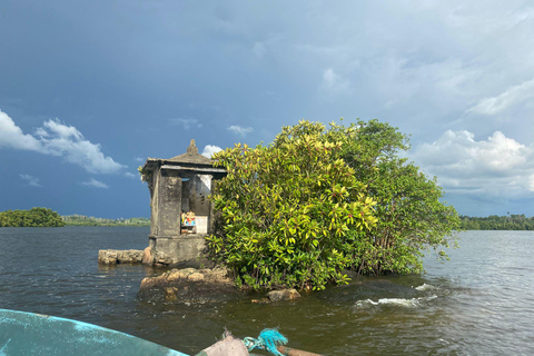 From Colombo/Negombo: Turtle Hatchery, Madu River & Galle
