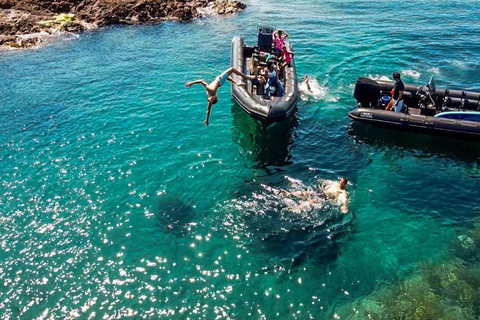 Cannes: excursión en barco por el macizo del EstérelCannes: Estérel Massif Boat Excursion