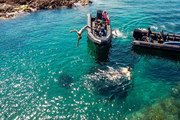 Cannes: excursión en barco por el macizo del EstérelCannes: Estérel Massif Boat Excursion