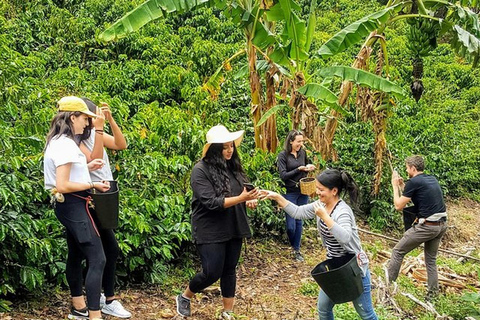 Medellín: Day Trip to Guatapé & Coffee Farm Guatapé, coffee farm & Boat