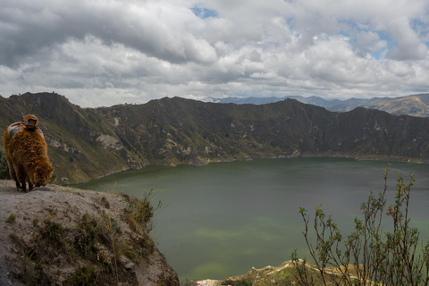 Da Quito: Tour di un giorno della laguna di Quilotoa con pranzo