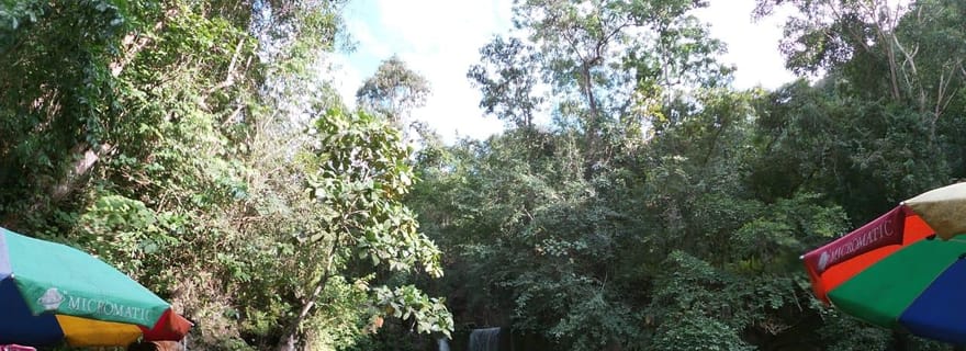 Cebu Moalboal : Aventure de canyoning Kawasan avec déjeuner