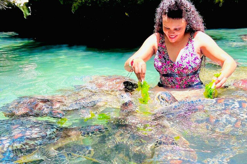 MNEMBA DOLPHIN AND TURTLE SWIM IN NUNGWI