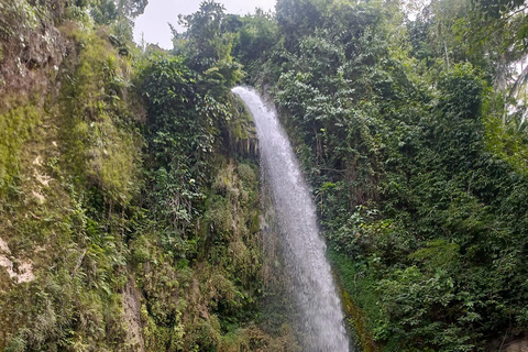 Cebu: Dao, Inambakan, Kawasan and Mantayupan Waterfalls Trip