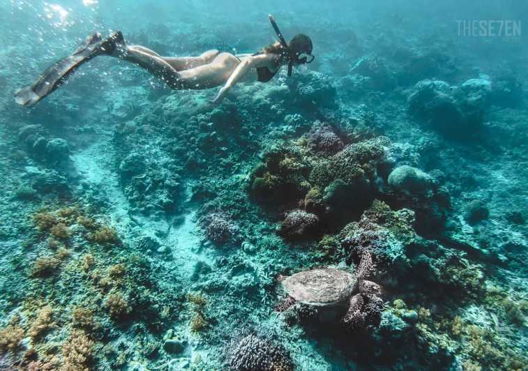Z Bali: 2-dniowa prywatna wycieczka z nurkowaniem na wyspie Gili z hotelem