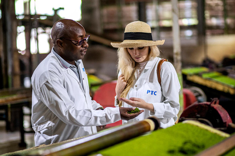 2-dniowa wycieczka kawowa nad jezioro Kivu2 dni od ziarna do filiżanki – kawa z jeziora Kivu