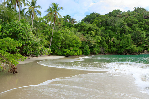 Rechtstreekse privé transfer: SJO ↔ Manuel Antonio (Quepos)