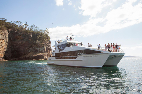 Hobart: River Derwent Guided Cruise on a Catamaran