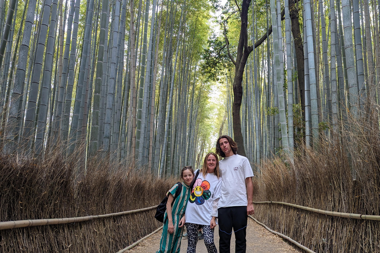 Full-Day Kyoto Walking Tour: Most Iconic Landmarks & Monkeys Shared Tour with English/German Speaking Guide