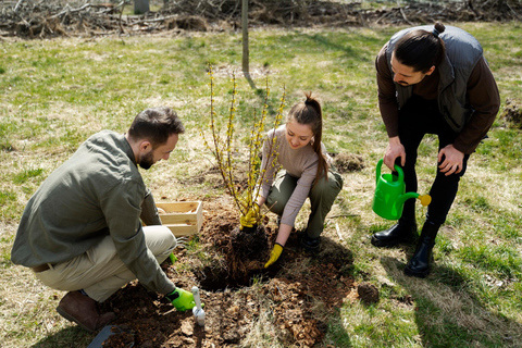 Yerevan: Private Tree Planting Experience with Tea