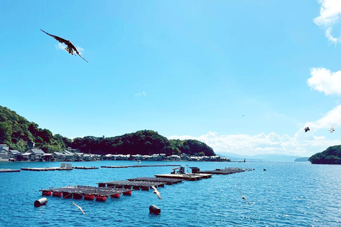 Kyoto Amanohashidate, excursion dans la baie d'Ine avec bateau/téléphérique en optionDépart de la gare d'Osaka à 8 h 40 - Comprend le téléphérique et la croisière
