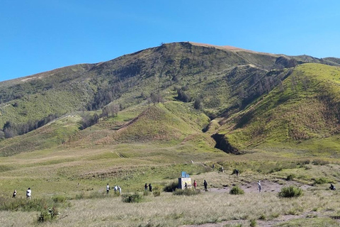 Desde Yogyakarta: Excursión de 3 días al Monte Bromo, Ijen y alojamiento