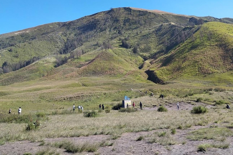 Desde Yogyakarta: Excursión de 3 días al Monte Bromo, Ijen y alojamiento