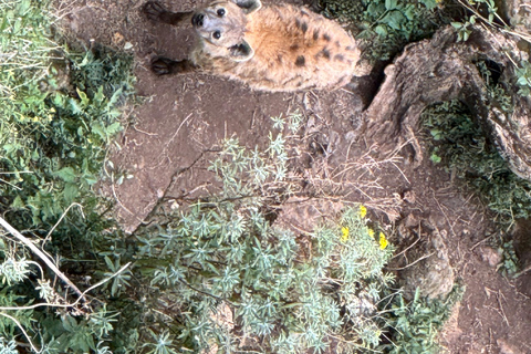 Blue Nile Gorge Wildlife & Cultural Day Trip