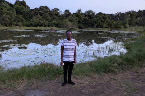 Karura Forest walking tour with nature and waterfalls.