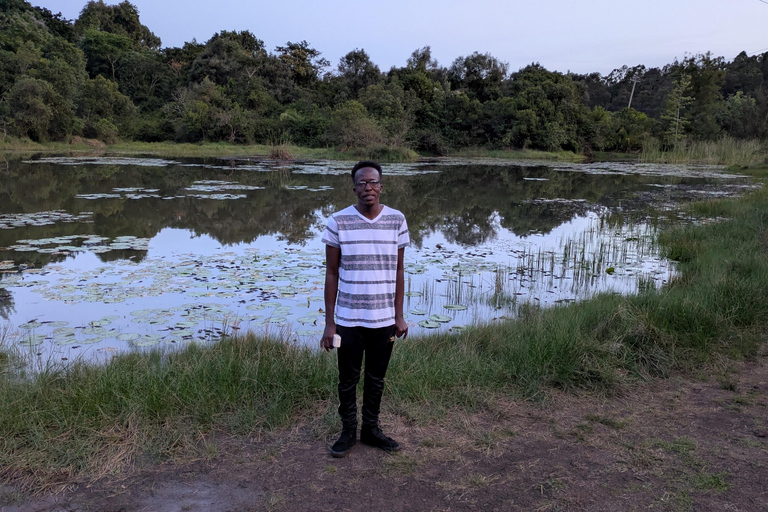 Karura Forest walking tour with nature and waterfalls.