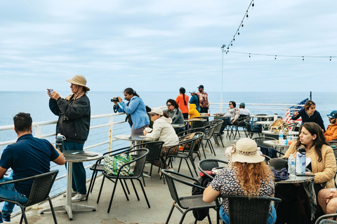 San Diego: Whale-Watching-Bootsfahrt und Delfinbeobachtung