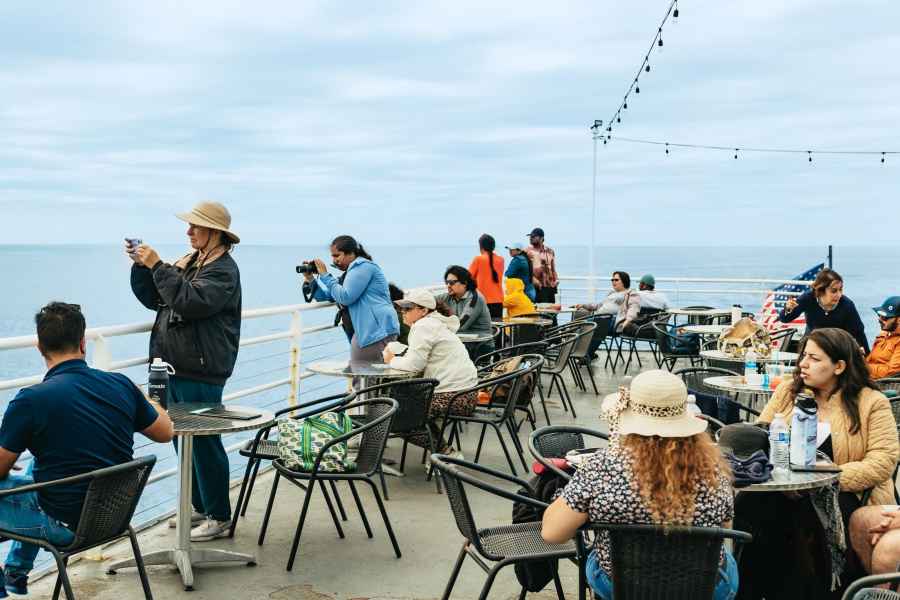 San Diego: Bootsfahrt mit Whale- und Delfin-Watching. Foto: GetYourGuide
