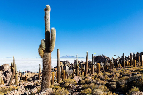 من لاباز: جولة لمدة 3 أيام في مسطحات الملح والبركان في أويوني