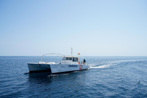 Calpe: Boot overtocht van/naar AlteaTour van Altea naar Calpe