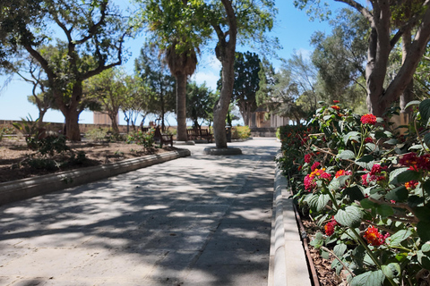 Valletta Top Tour: Including Grand Palace & Co-Cathedral