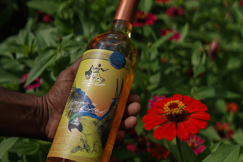 Villanueva: Fundación Loros Sunset Tour with Winetasting