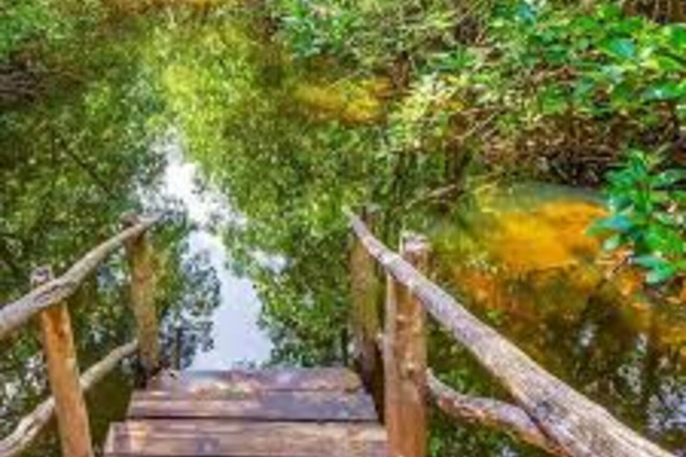 Zanzibar: Jozani Forest & The Rock Restaurant Day Trip Private Tour without Hotel transfer