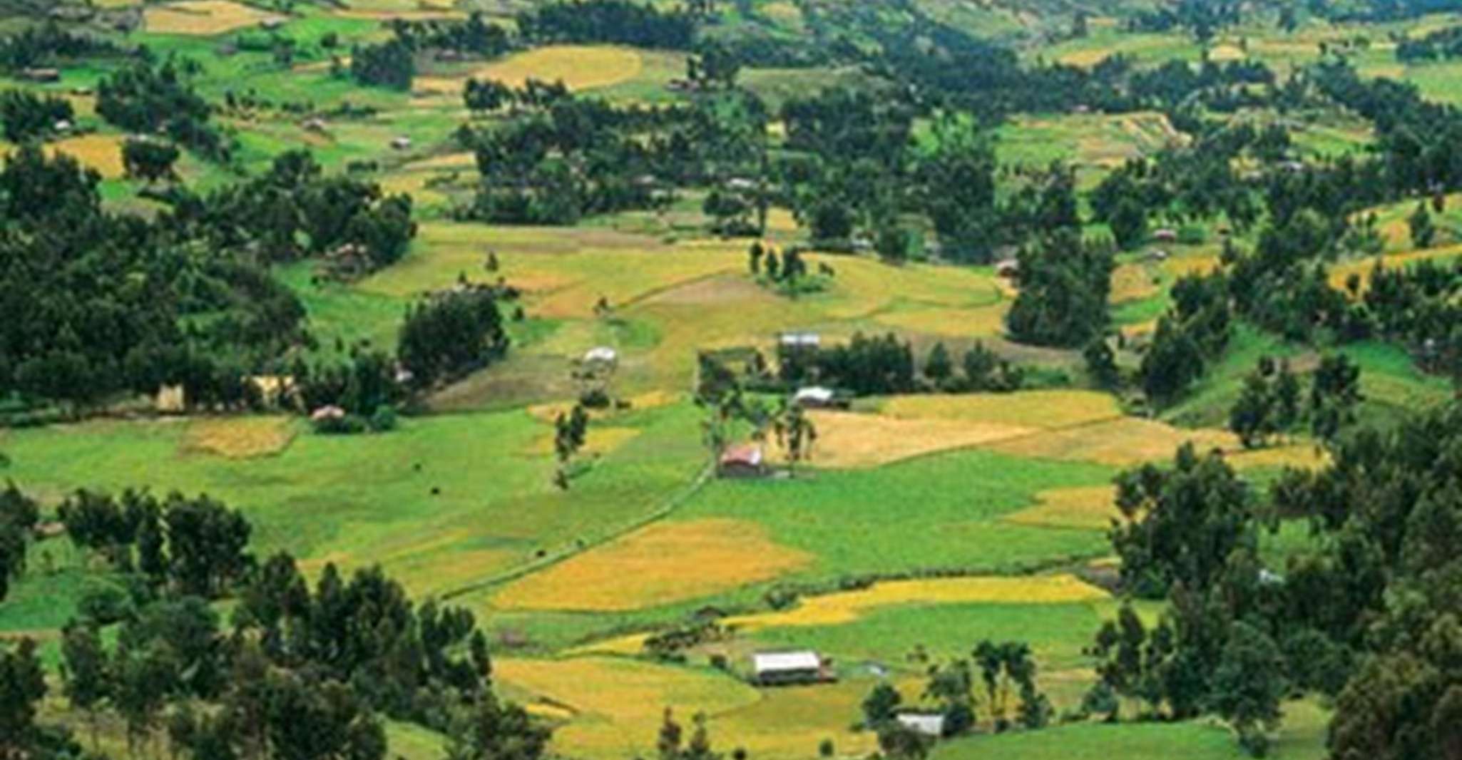 De Cajamarca, Porcón e Otuzco - Hizvo