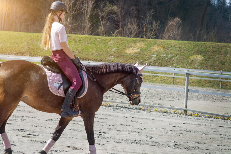 Gold Coast: Scenic Valley Horse Riding Tour